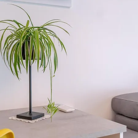 Lovely & Cozy With Terrace Apartment *